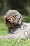 LAGOTTO 047